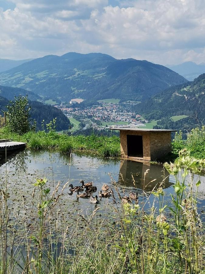 Rainerhof Apartment Murau Luaran gambar