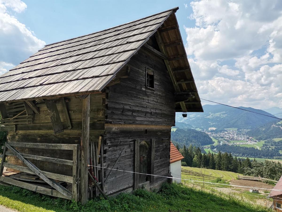 Rainerhof Apartment Murau Luaran gambar